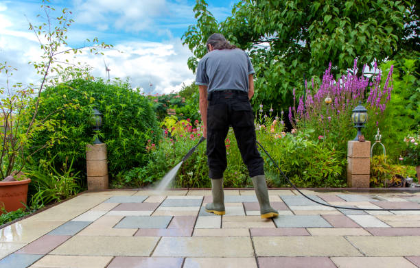 Best Roof Cleaning and Mildew Removal in Lake Mills, WI