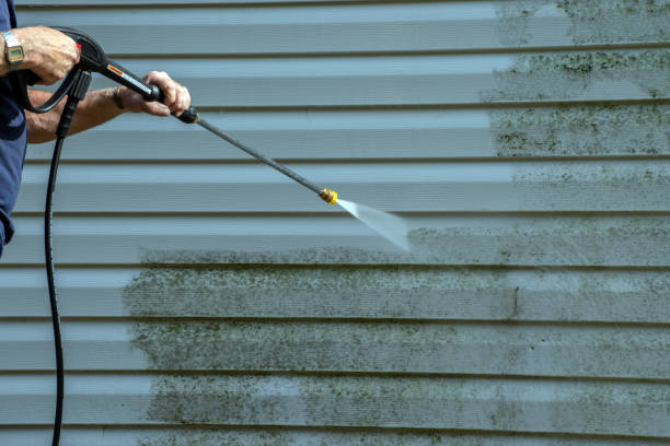 Best Soft Washing for Delicate Surfaces in Lake Mills, WI